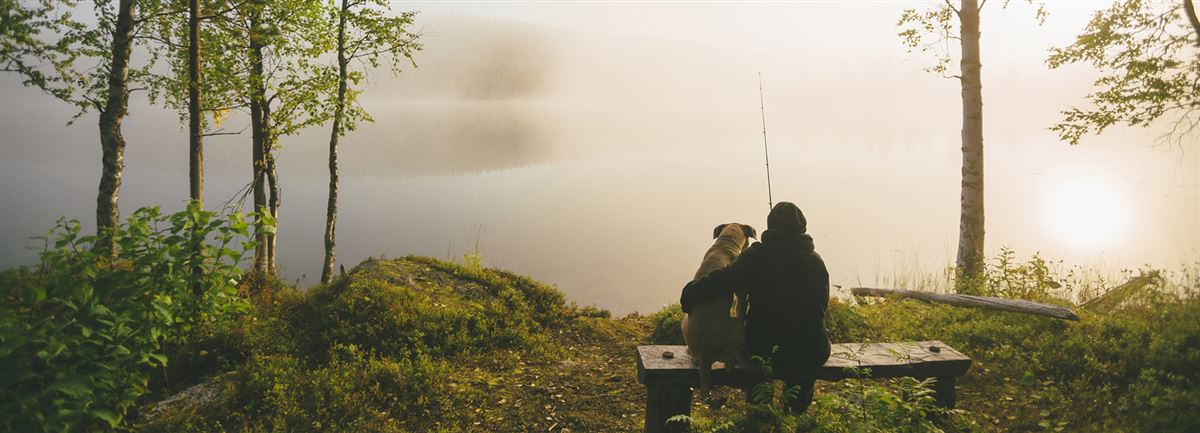 Henkilö ja koira istuvat penkillä ongella järvimaisemassa.