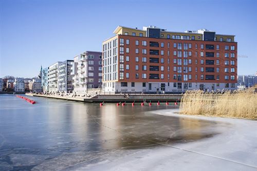 Höghus på stranden